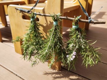 園の植物を使ってワークショップ！